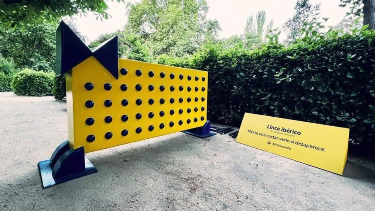 <p> Lince ibérico Expo "Dif&iacute;ciles de ver". </p>