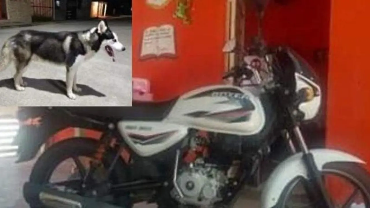 <p> El chico ofreci&oacute; su moto por recuperar a su perro.ADAN RODRIGUEZ / FACEBOOK </p>