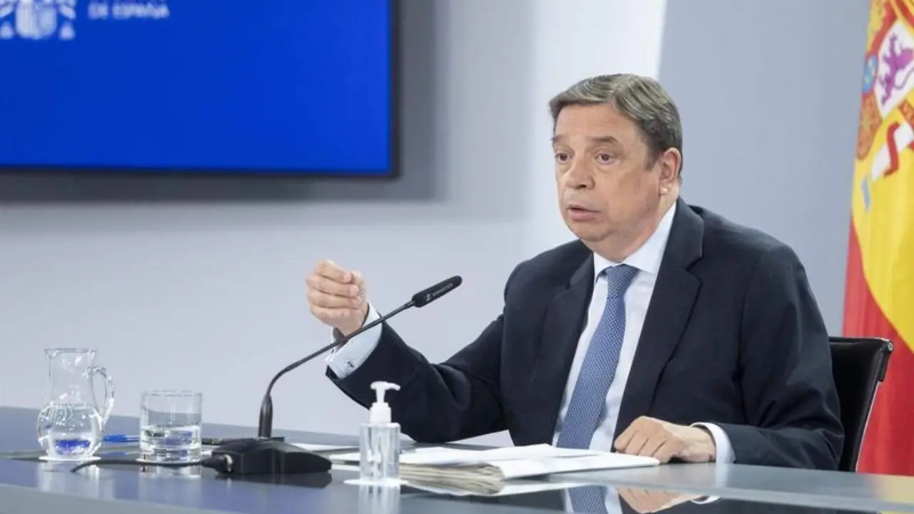 <p> El ministro de Agricultura, Pesca y Alimentaci&oacute;n, Luis Planas. - Alberto Ortega - Europa Press </p>