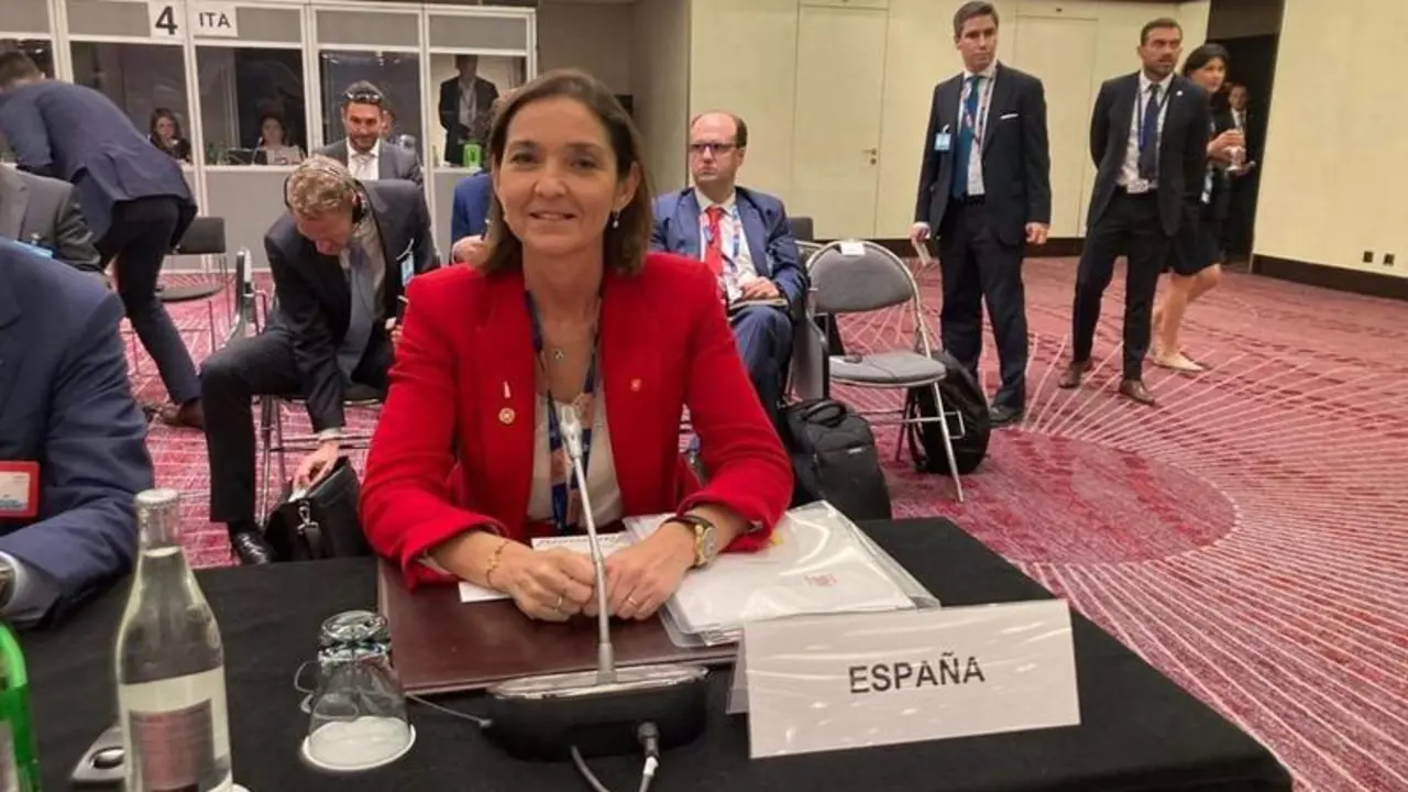 <p> La ministra de Industria, Comercio y Turismo, Reyes Maroto, en la 12&ordf; Conferencia Ministerial de la organizaci&oacute;n, que se celebra en Ginebra hasta el 15 de junio </p>