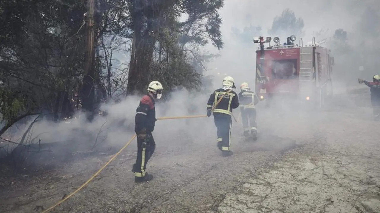 <p> Extinci&oacute;n del incendio en Puente la Reina </p>