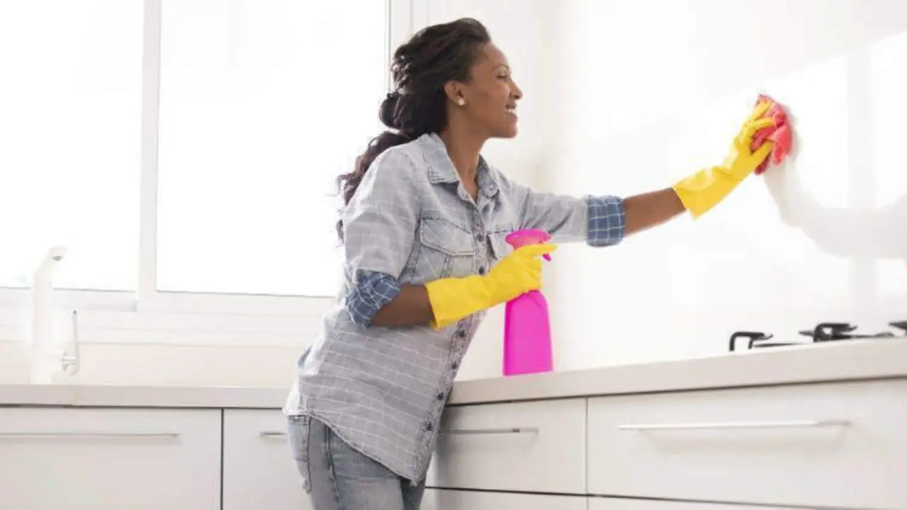 <p> Empleada del hogar. FINANZAS PERSONALES </p>