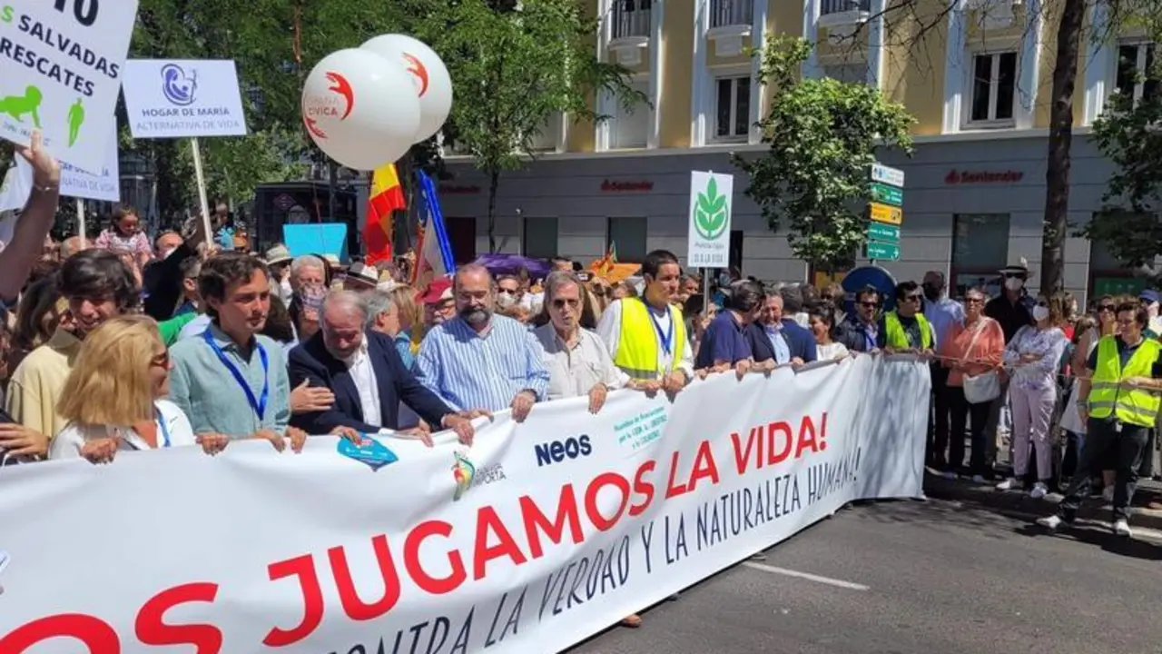 <p> Cabecera de la manifestaci&oacute;n provida este domingo en Madrid </p>