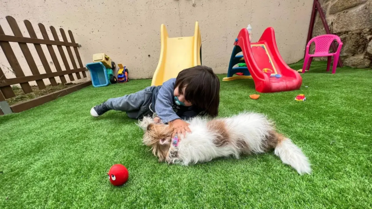 <p> La perrita Alma junto al peque&ntilde;o Alex </p>