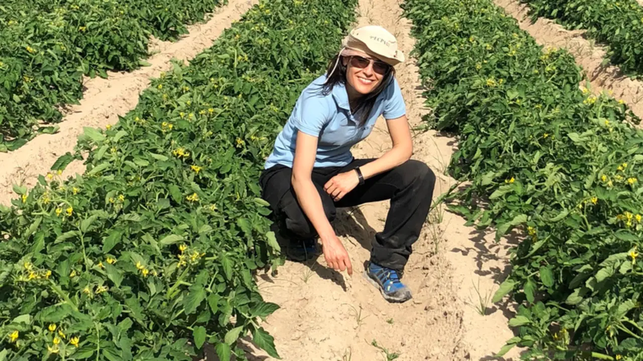 <p> La investigadora del INIA-CSIC Ana de Castro recibe el premio Pierre C. Robert Precision Agriculture </p>