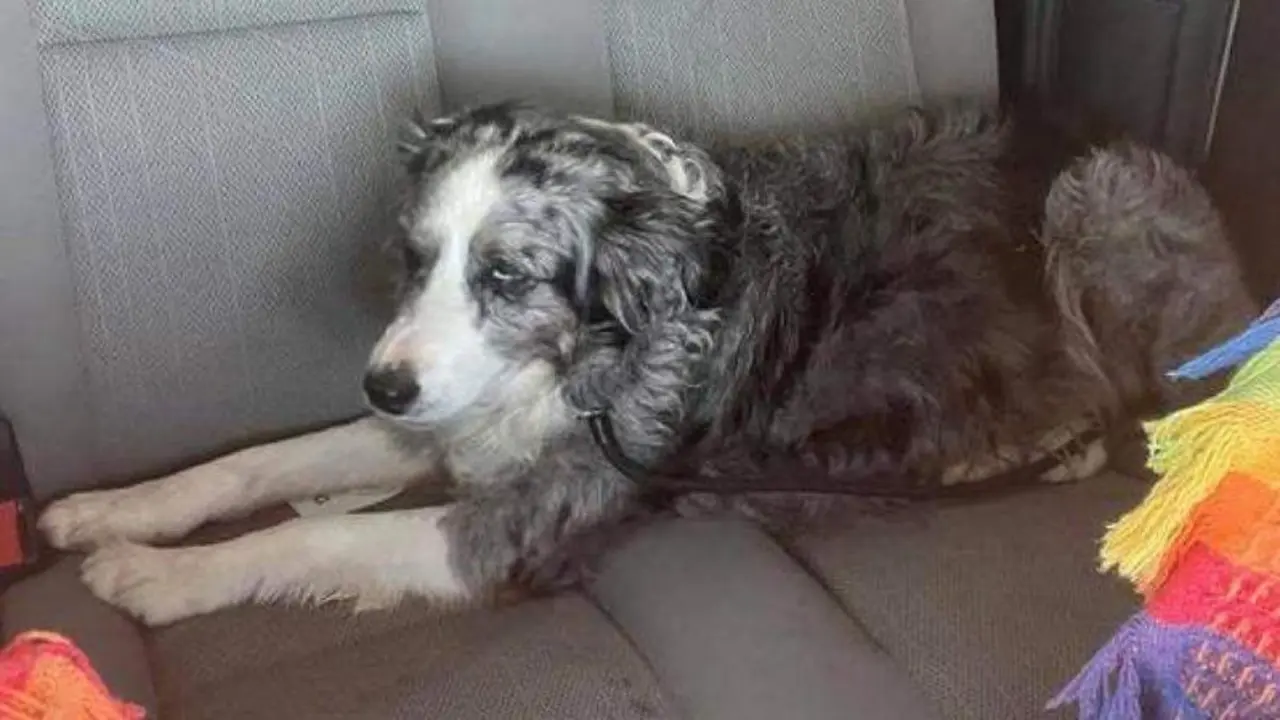 <p> FACEBOOK / AGUIPROAN </p>