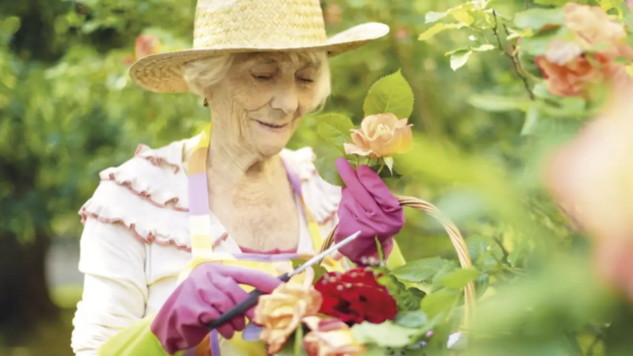 <p> Archivo - Mayor, anciana, jard&iacute;n, jardiner&iacute;a - SANITAS - Archivo </p>