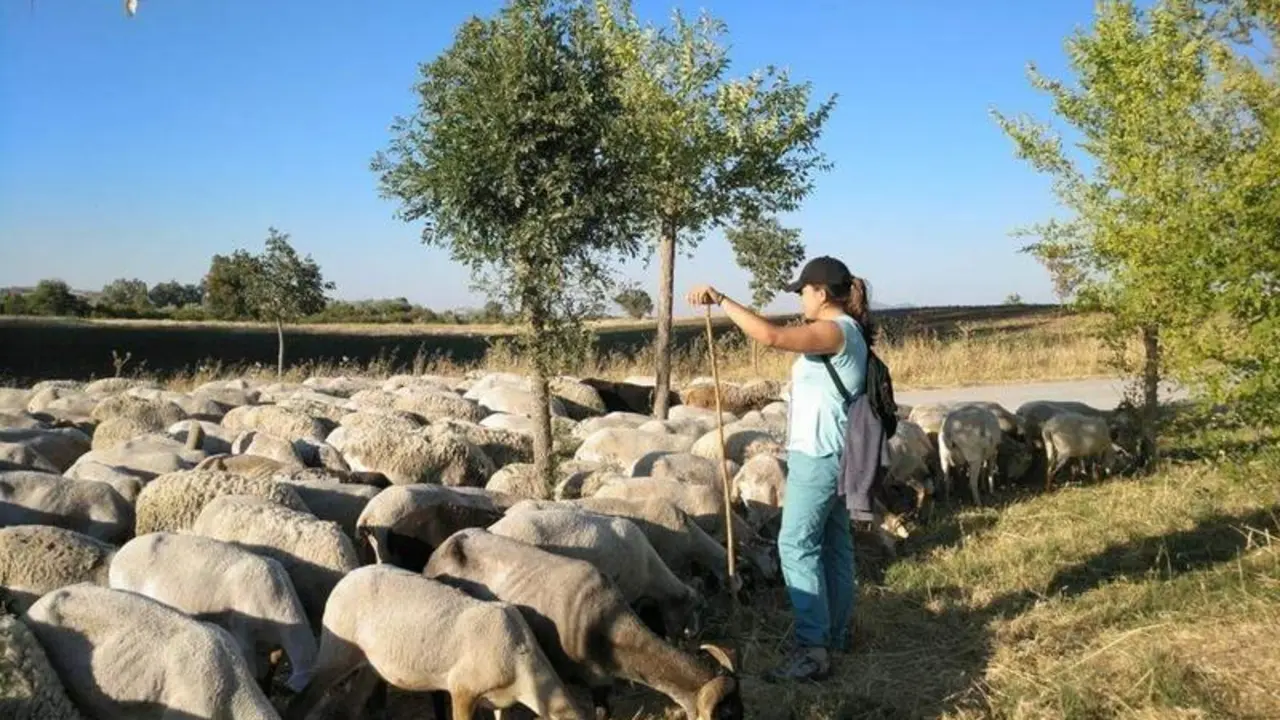 <p> Escuela de Pastores de Andaluc&iacute;a | JdA </p>