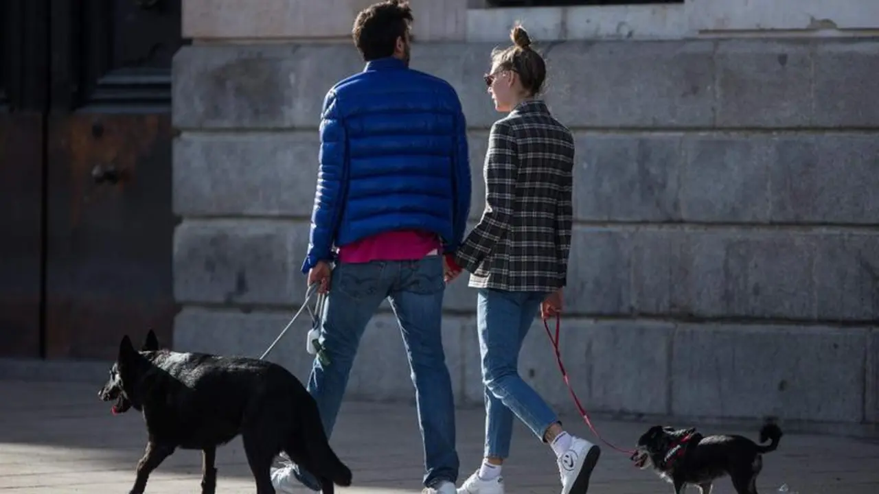 <p> Una pareja pasea a los perros en Madrid. - Joaquin Corchero / Europa Press </p>