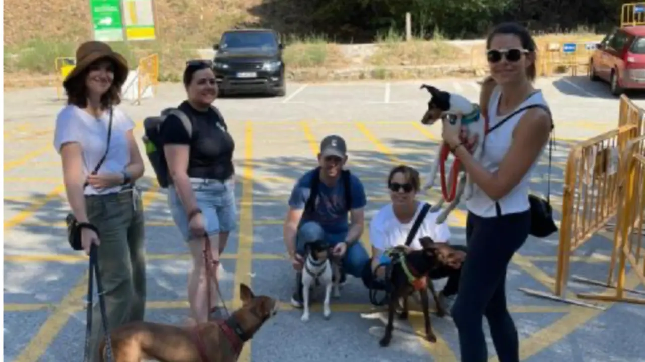 <p> Vecinos con perros. NEXTDOOR </p>