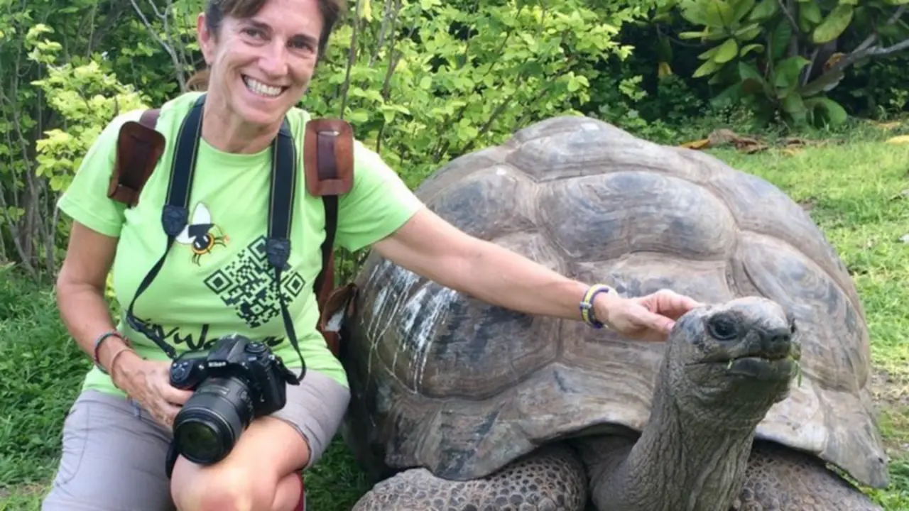 <p> Anna Traveset lidera el laboratorio de Ecolog&iacute;a Terrestre en el Instituto Mediterr&aacute;neo de Estudios Avanzados (IMEDEA-CSIC-UIB). / IMEDEA </p>