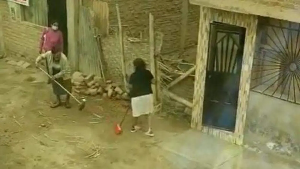 <p> Batalla de escobas. </p>