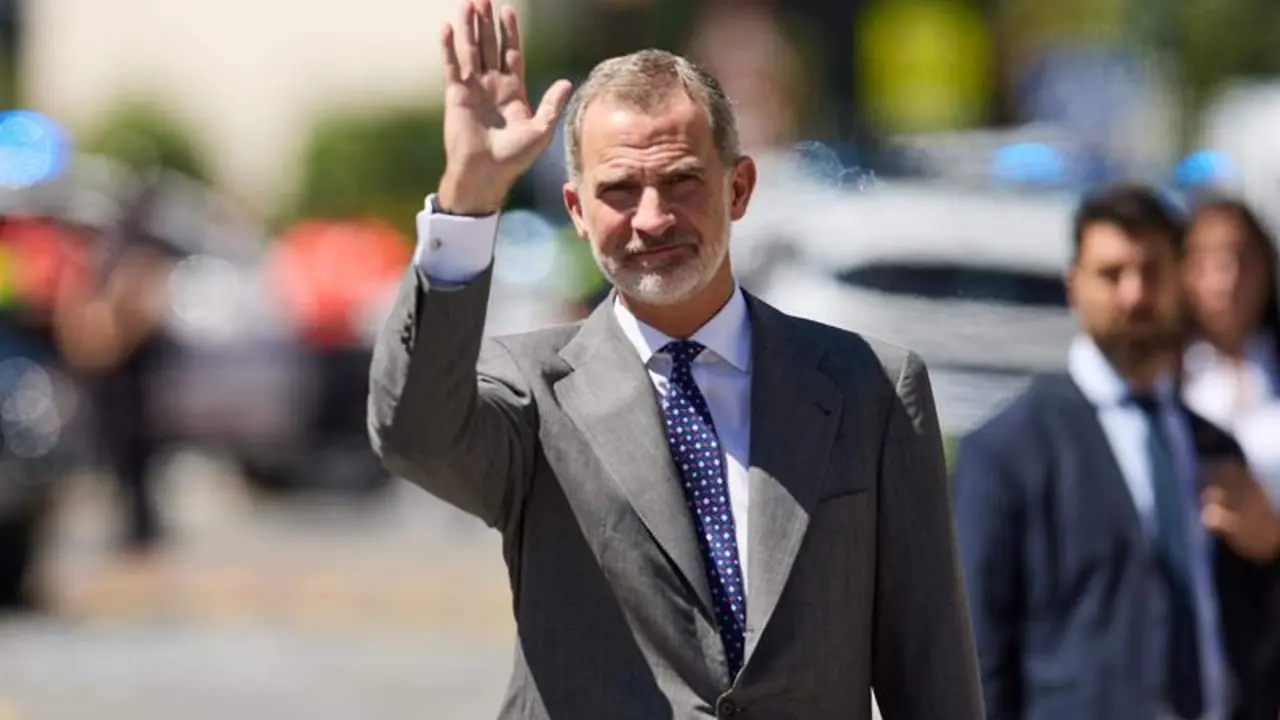 <p> El Rey Felipe VI en una imagen de archivo. - Ion Alcoba - Europa Press </p>