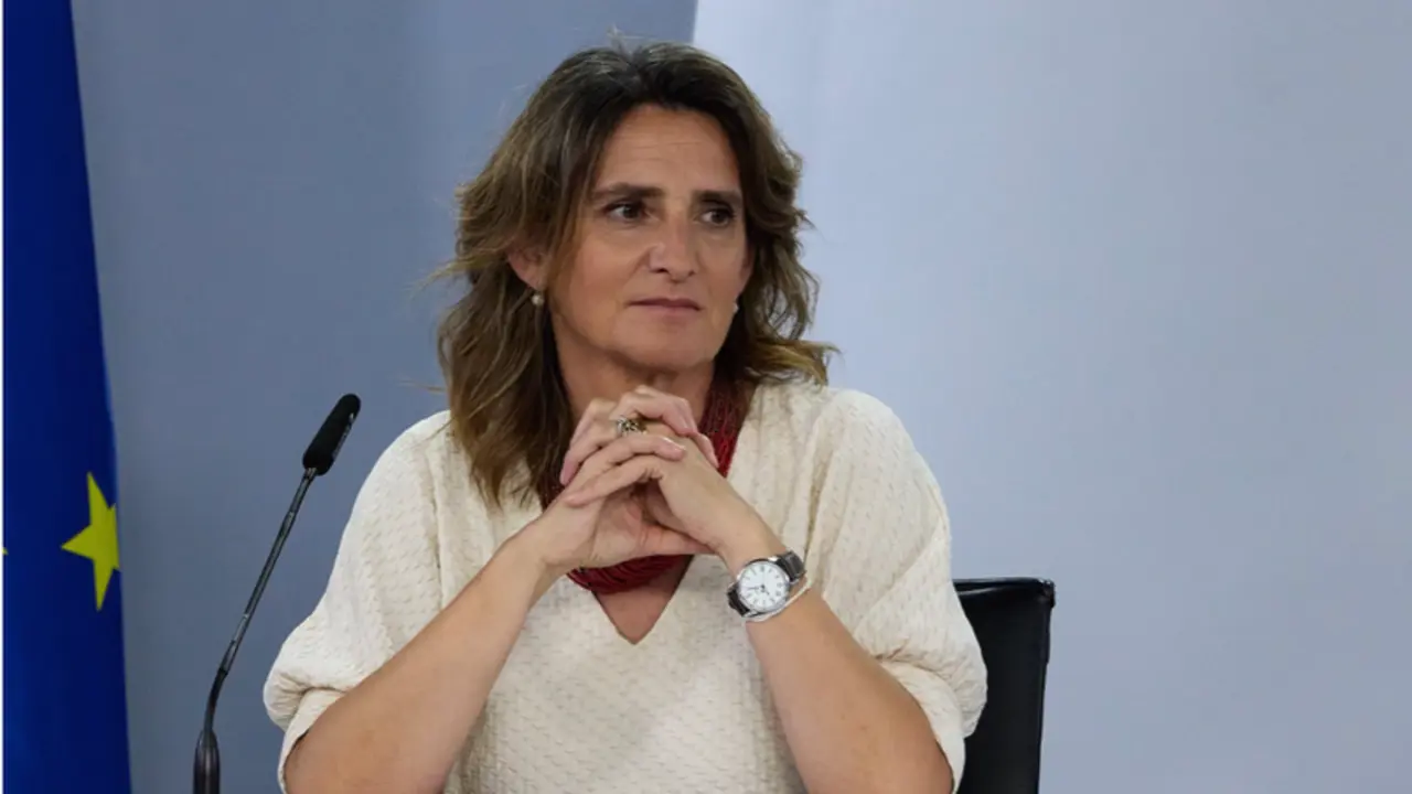 <p> La vicepresidenta tercera y ministra para la Transici&oacute;n Ecol&oacute;gica y el Reto Demogr&aacute;fico, Teresa Ribera - Jes&uacute;s Hell&iacute;n - Europa Press </p>