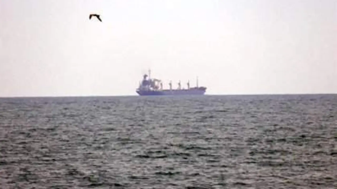 <p> Barco de cereal ucraniano - EP </p>