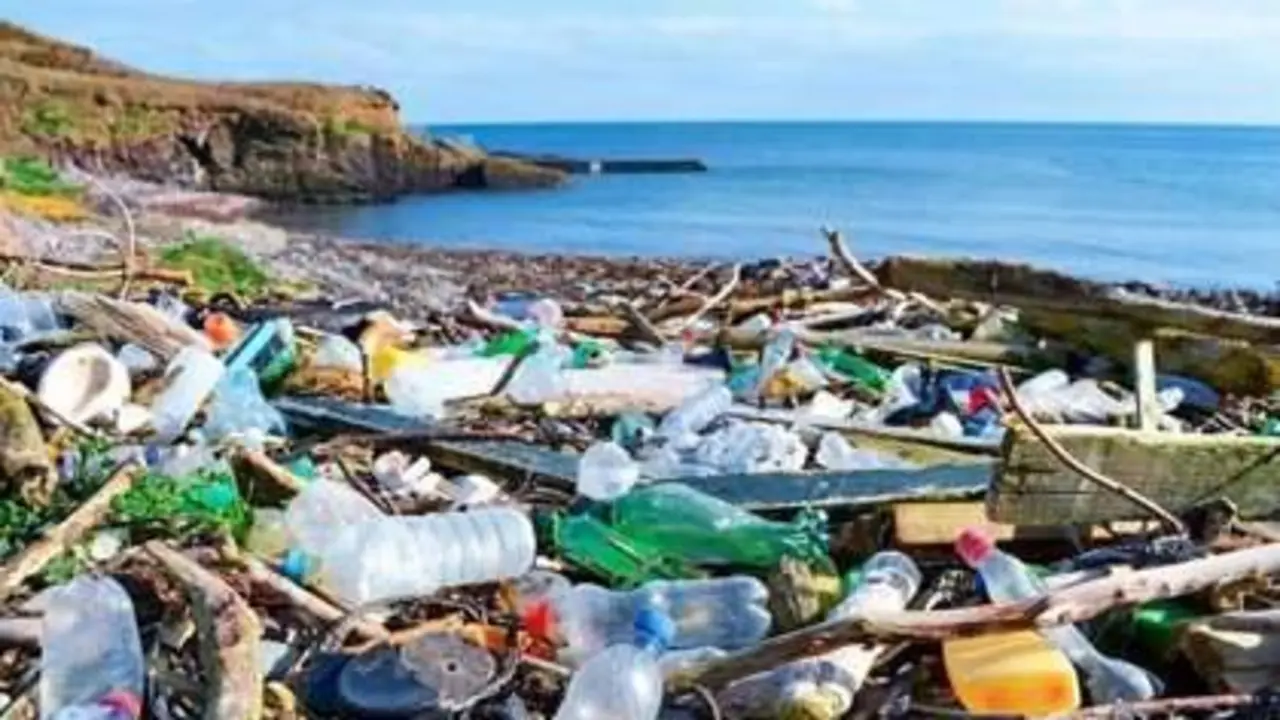 <p> Restos de pl&aacute;stico tirados en el mar - EP </p>