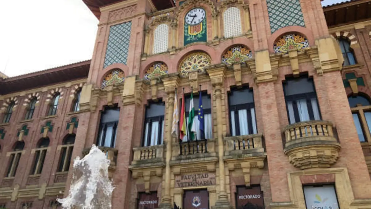 <p> Facultad de veterinaria de la Universidad de C&oacute;rdoba - P&aacute;gina web </p>