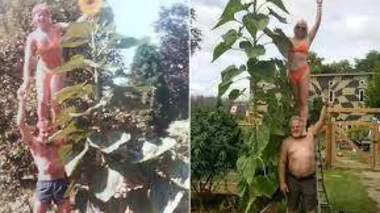 <p> Paul y Sandy Szewc recreando la misma foto 40 a&ntilde;os despu&eacute;s &ndash; SWNS </p>