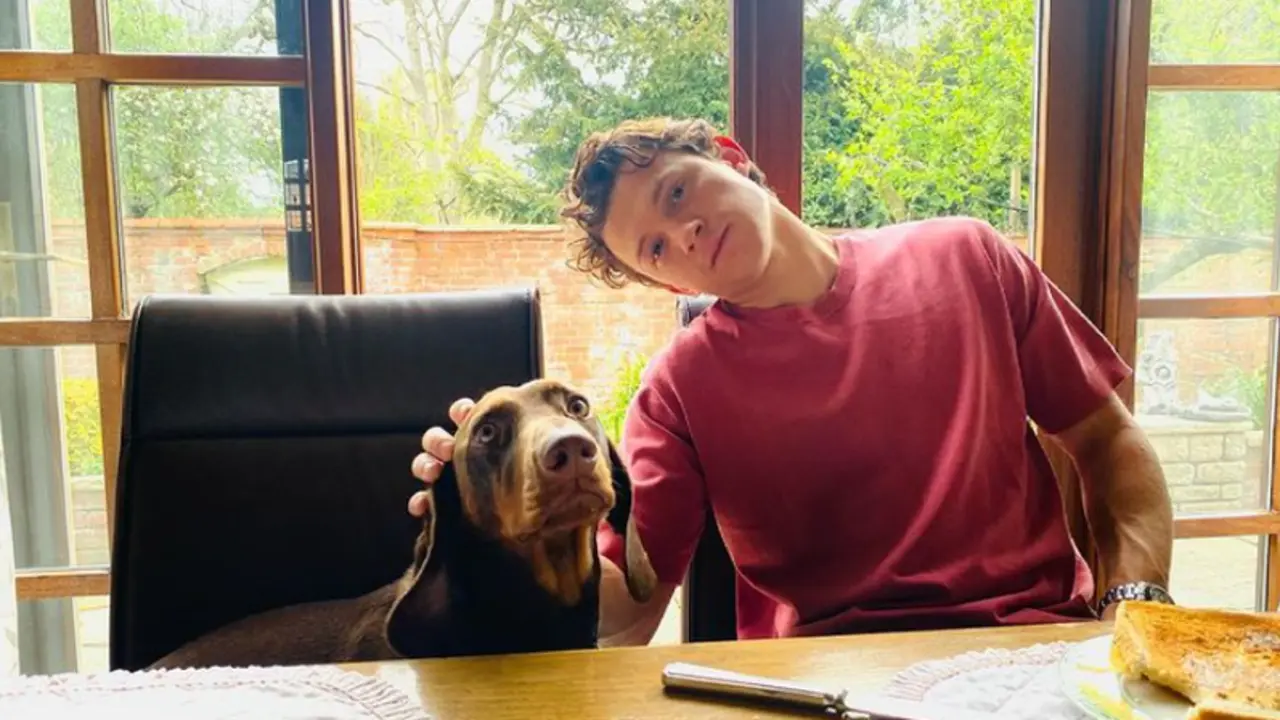 <p> El actor Tom Holland en una publicaci&oacute;n compartida en sus redes sociales. </p>