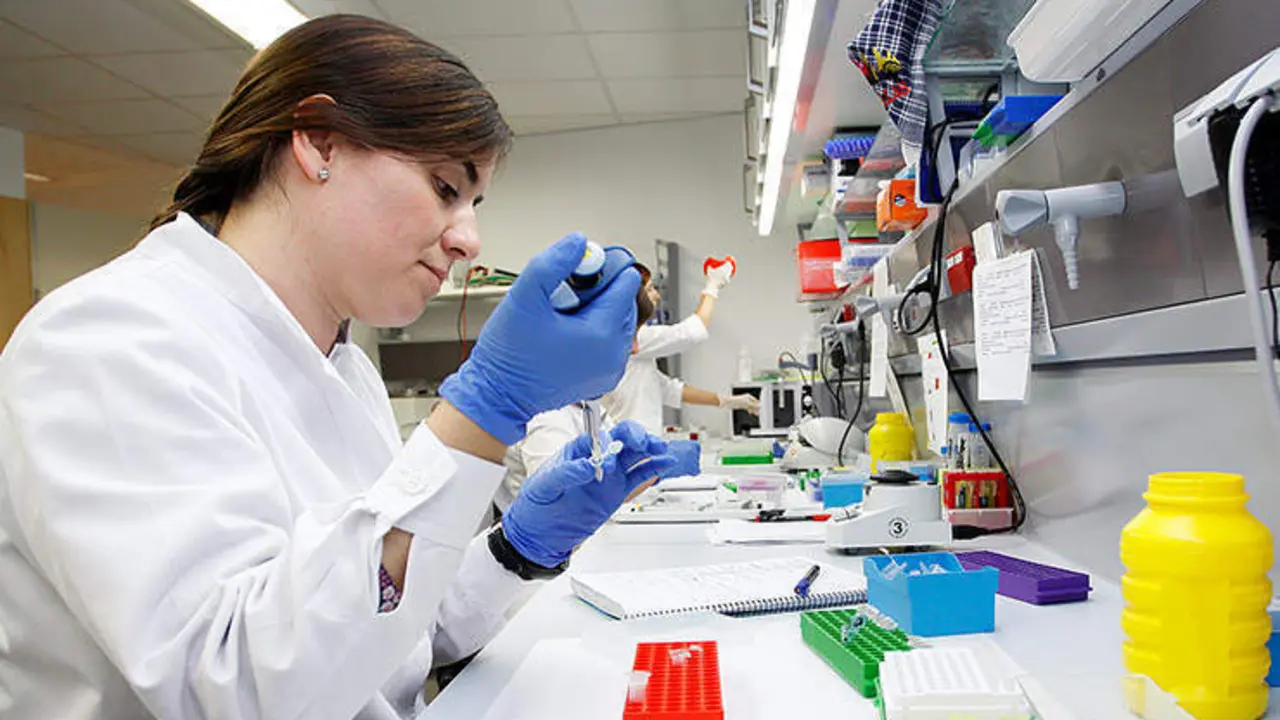 <p> Investigadora gen&eacute;tica </p>