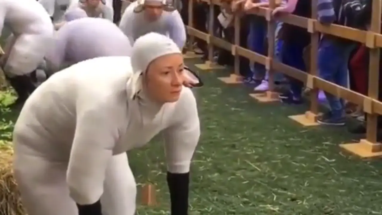 <p> Humanos disfrazados de ovejas. Fuente: Twitter </p>