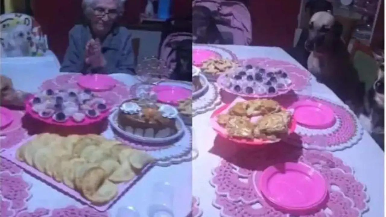 <p> Abuela celebrando su cumplea&ntilde;os junto a sus perros - Captura de pantalla </p>