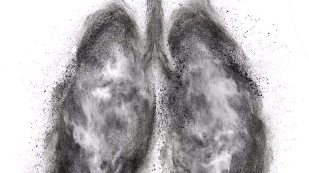 <p> Pulmones. - ARTJAZZ/ ISTOCK </p>