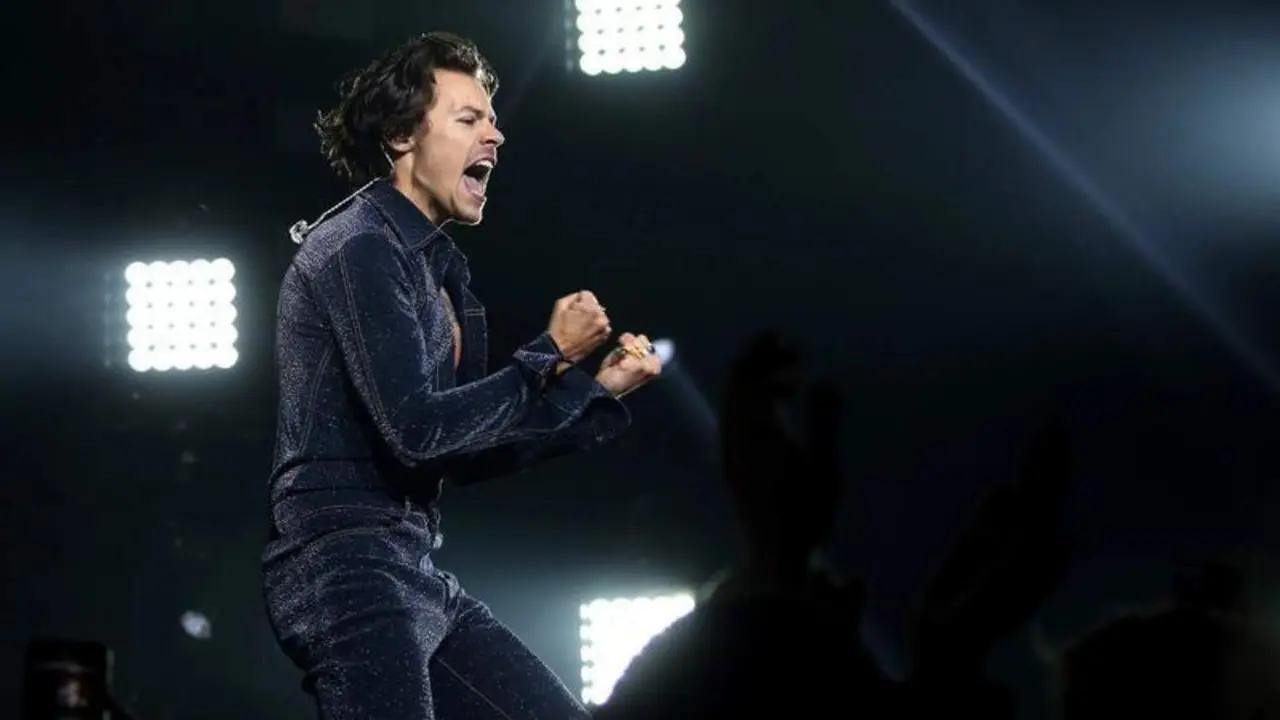 <p> Harry Styles </p>