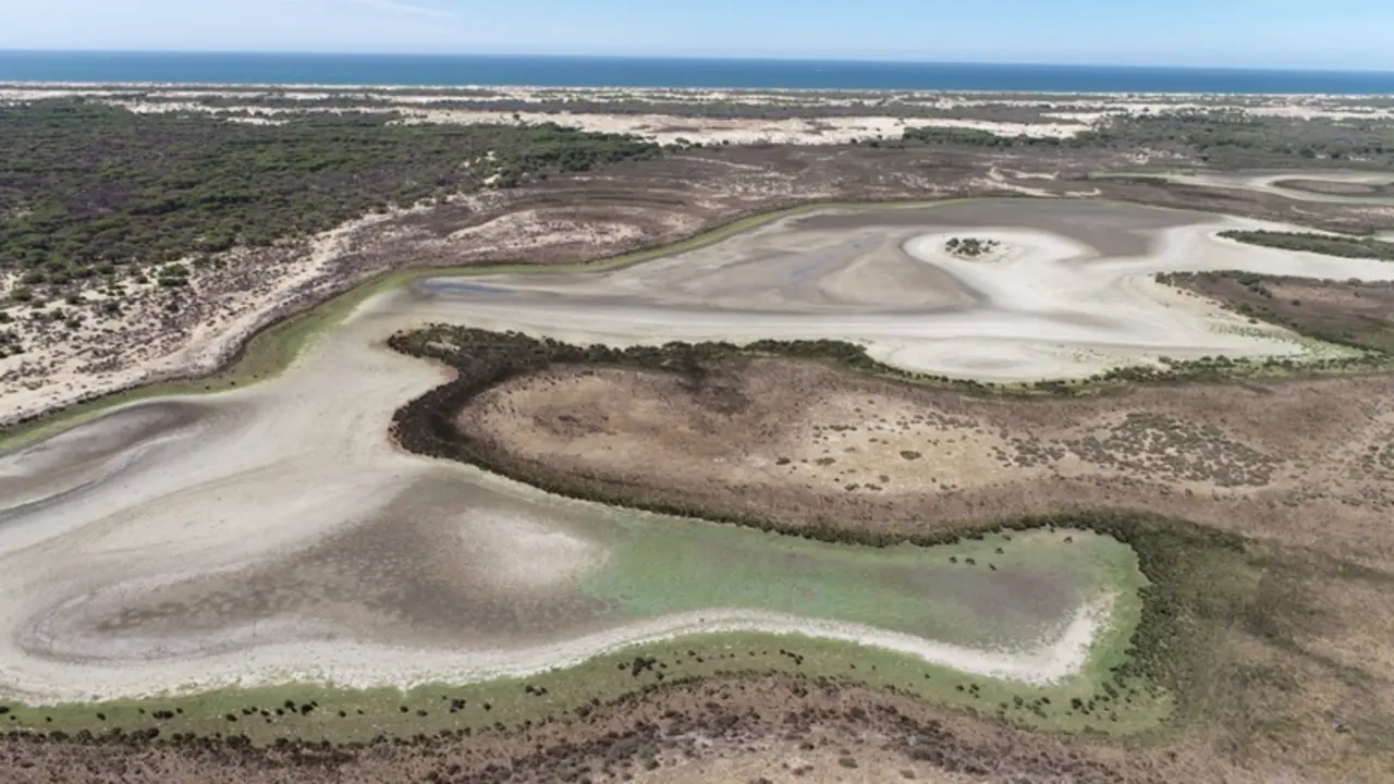 <p> Laguna de Santa Olalla, en Do&ntilde;ana, seca en agosto de 2022. - BANCO DE IM&Aacute;GENES DE LA EBD/CSIC </p>