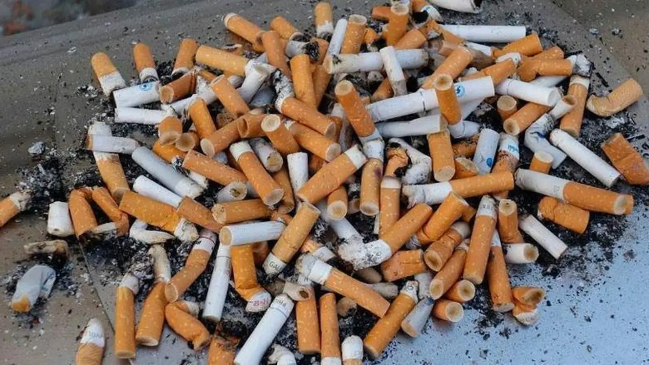 <p> Mont&oacute;n de colillas </p>