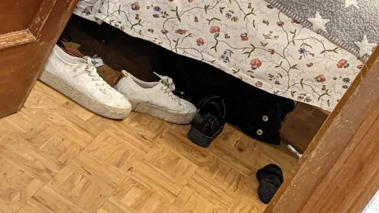 <p> Imagen de la jardinera con la que confundi&oacute; a su gata </p>