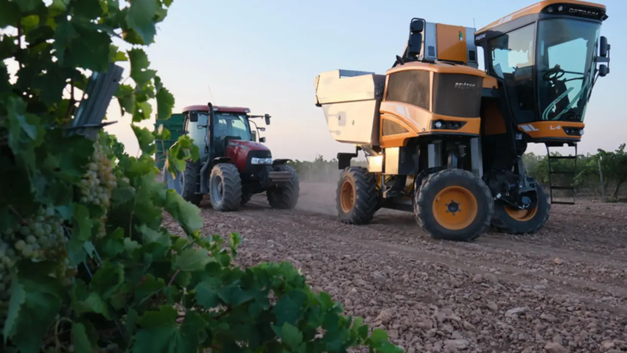 <p> Una vendimiadora y un tractor durante la vendimia de la uva Sauvignon Blanc, a 25 de agosto de 2022, en Manzanares, Ciudad Real, Castilla La-Mancha - Rey Sotolongo - Europa Press </p>