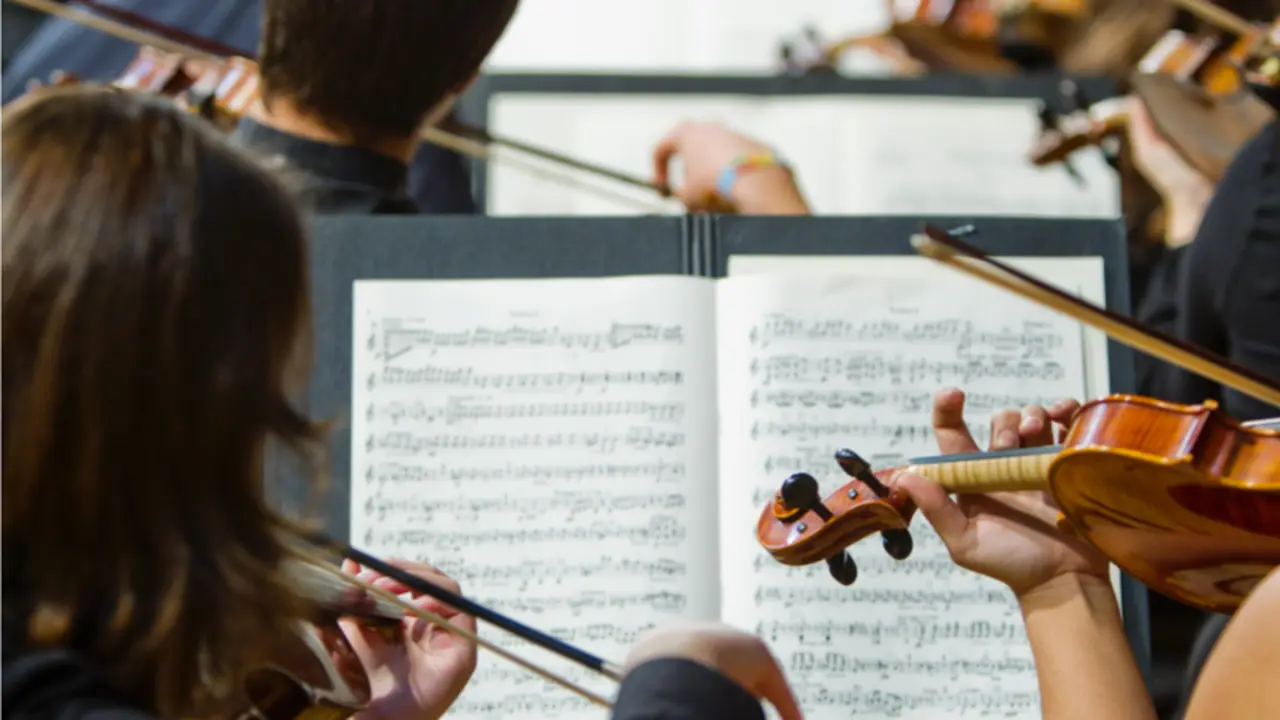 <p> La medida afecta a las plazas ofertadas en ense&ntilde;anzas superiores de M&uacute;sica, Danza, Dise&ntilde;o y Arte Dram&aacute;tico. </p>