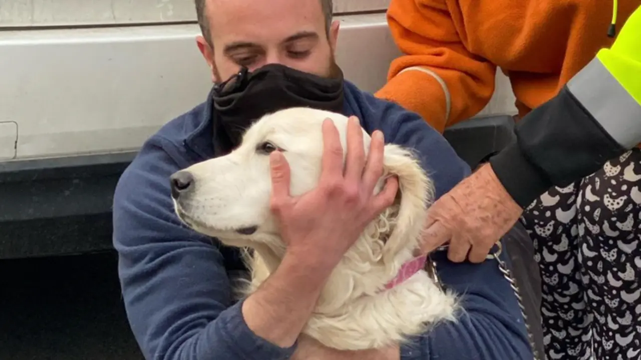 <p> La perrita encontrado. </p>