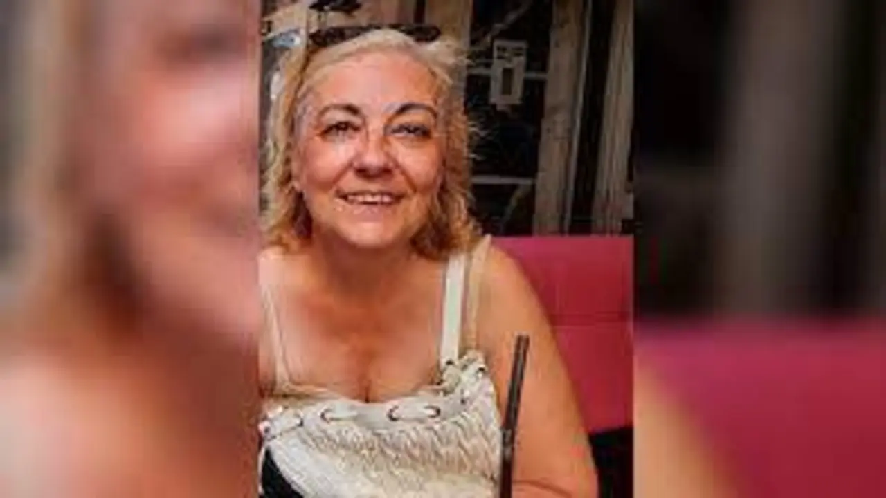 <p> La desaparecida, Isabel del Castillo Hortelano </p>