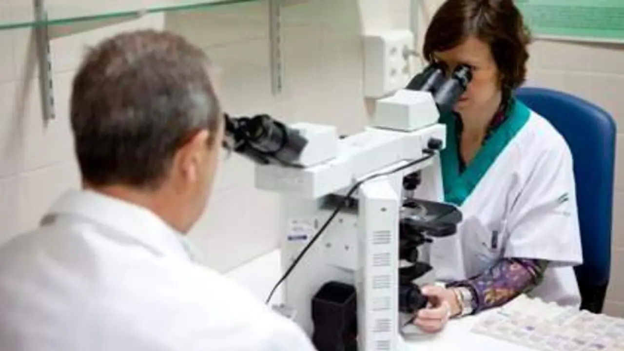 <p> Investigadores del c&aacute;ncer </p>