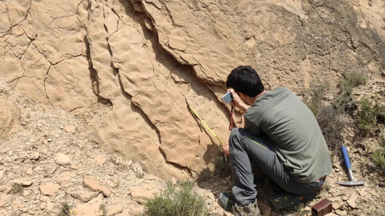 <p> Yacimiento en la provincia de Huesca. - UNIVERSIDAD DE ZARAGOZA </p>