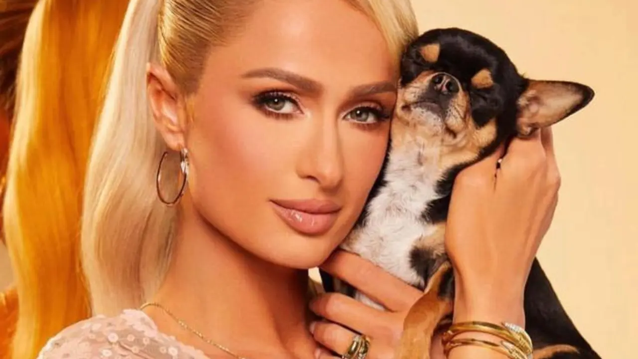 <p> Paris Hilton con su perra Diamond Baby via Instagram </p>