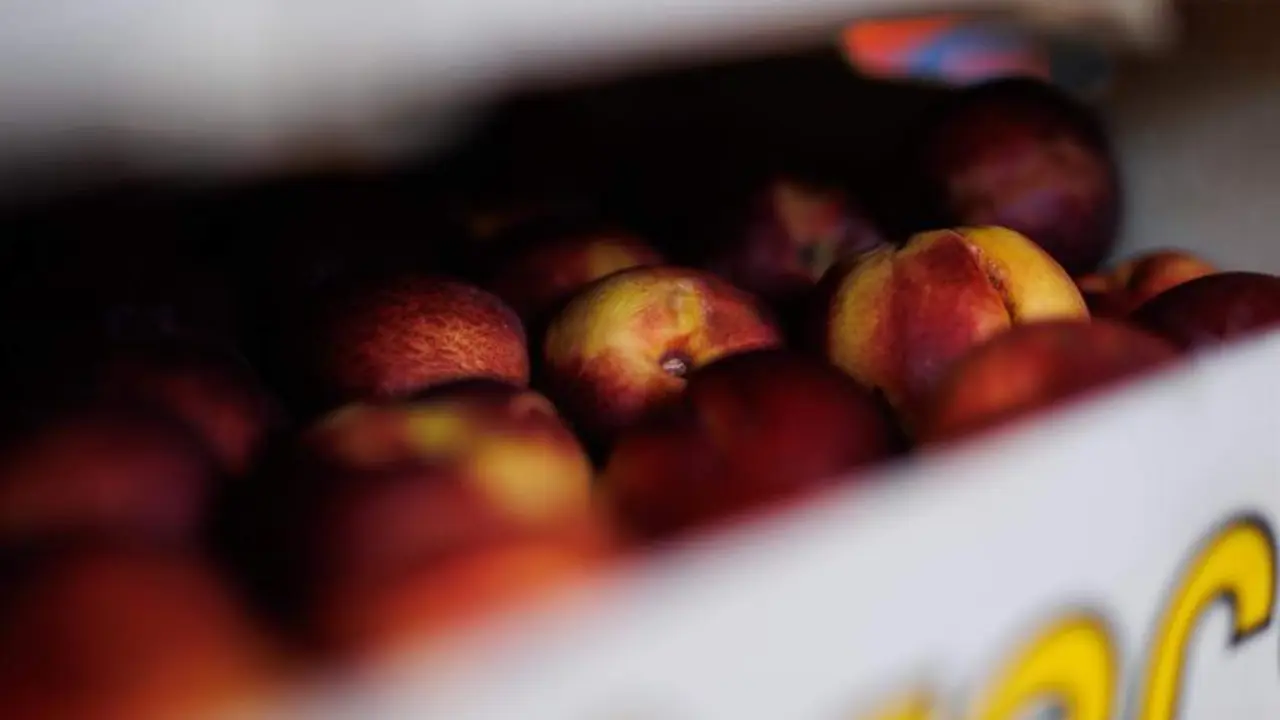 <p> Una caja de nectarinas en el banco de alimentos del Colegio San Fernando </p>