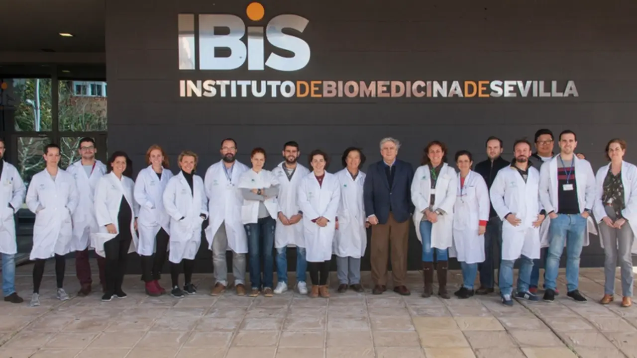 <p> Investigadores del IBiS describen el mecanismo mediante el que se detecta el ox&iacute;geno de la sangre - UNIVERSIDAD DE SEVILLA </p>
