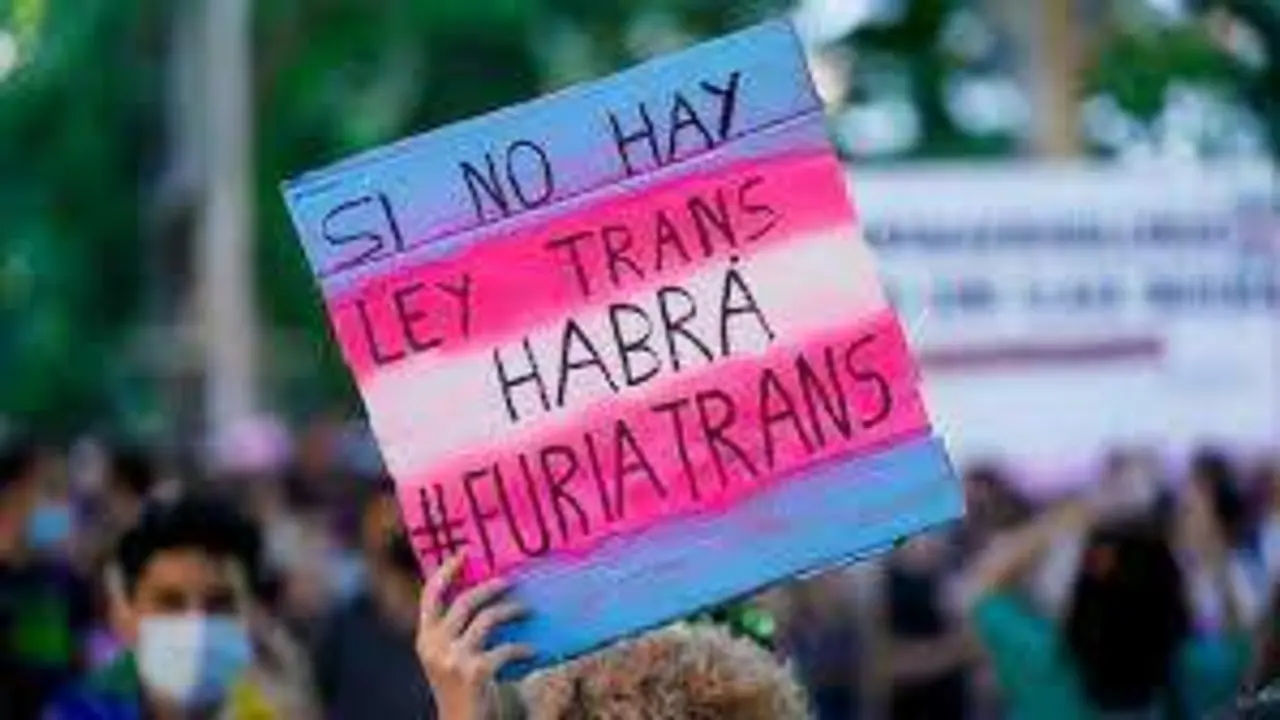 <p> Cartel en una manifestaci&oacute;n LGBTI a favor de la Ley Trans </p>
