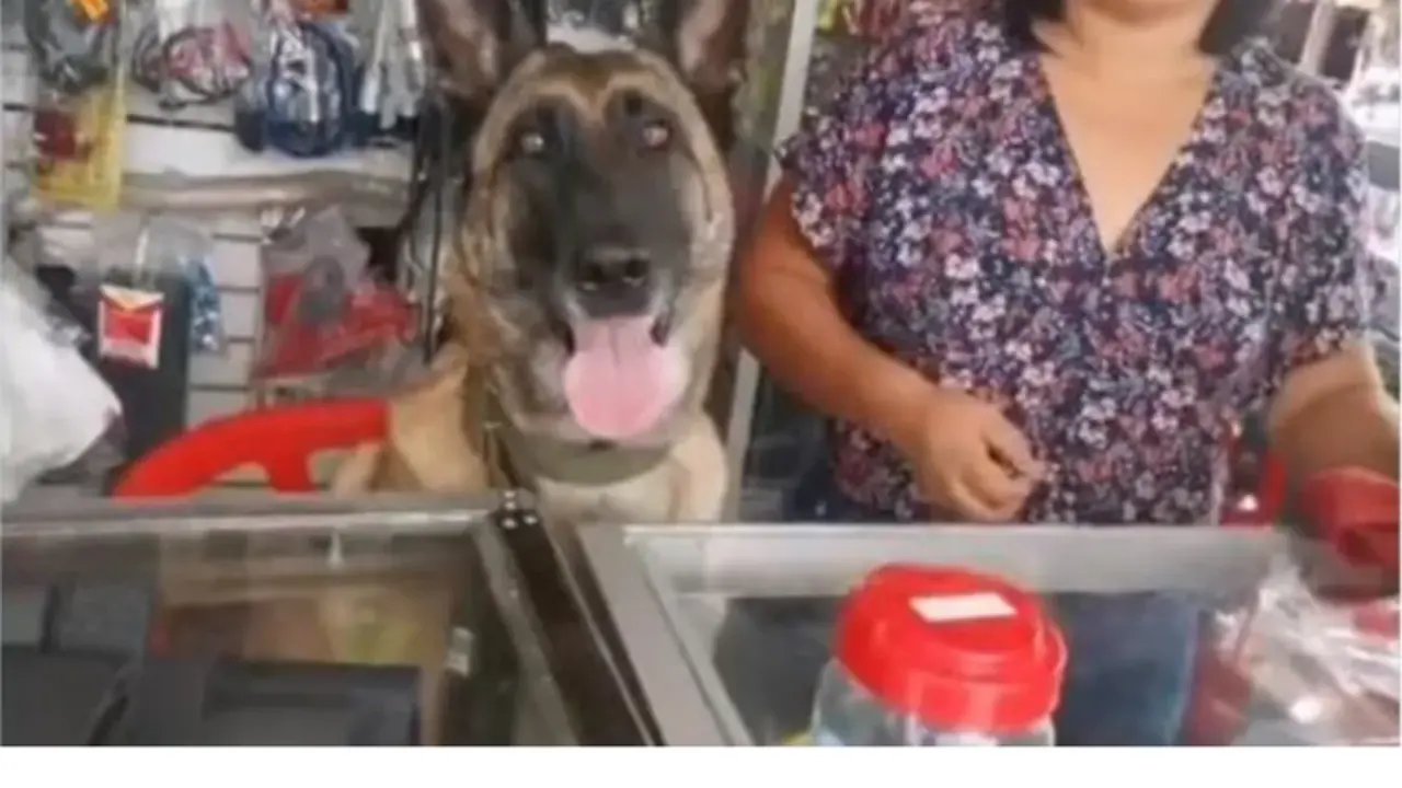 <p> Imagen de la perra ferretera junto a su due&ntilde;a </p>