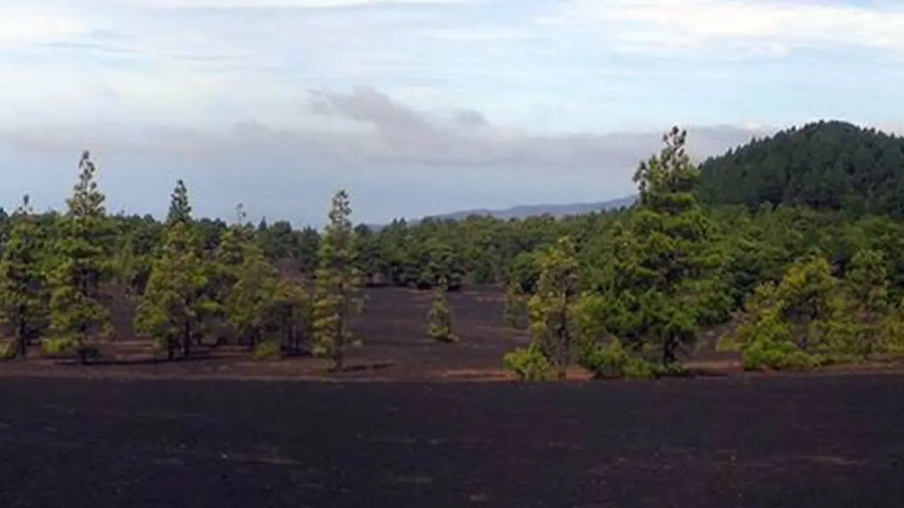 <p> La isla canaria de La Palma es una de las regiones incluidas en el estudio. / Frank Klemm - FRANK KLEMM </p>