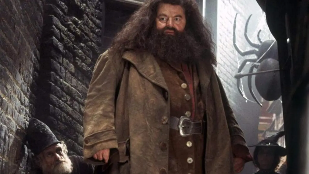 <p> Robbie Coltrane </p>