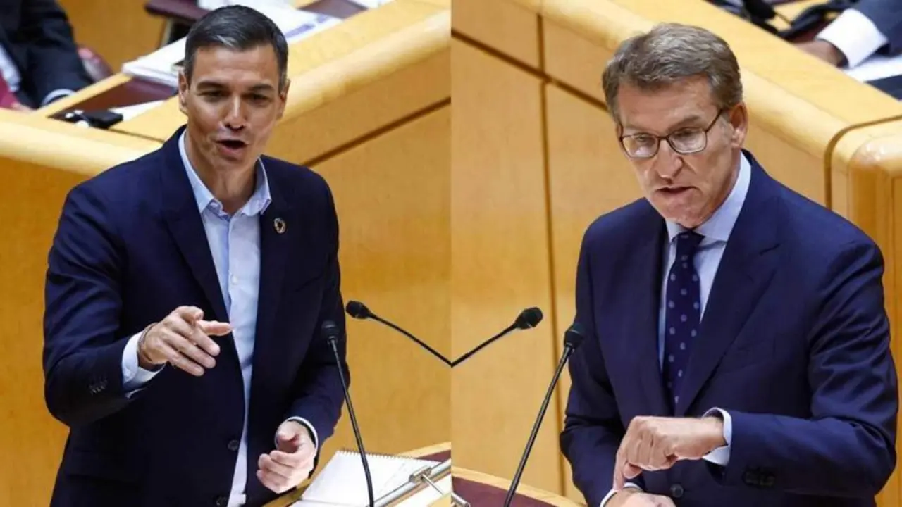 <p> Pedro S&aacute;nchez y N&uacute;&ntilde;ez Feij&oacute;o en el Senado </p>