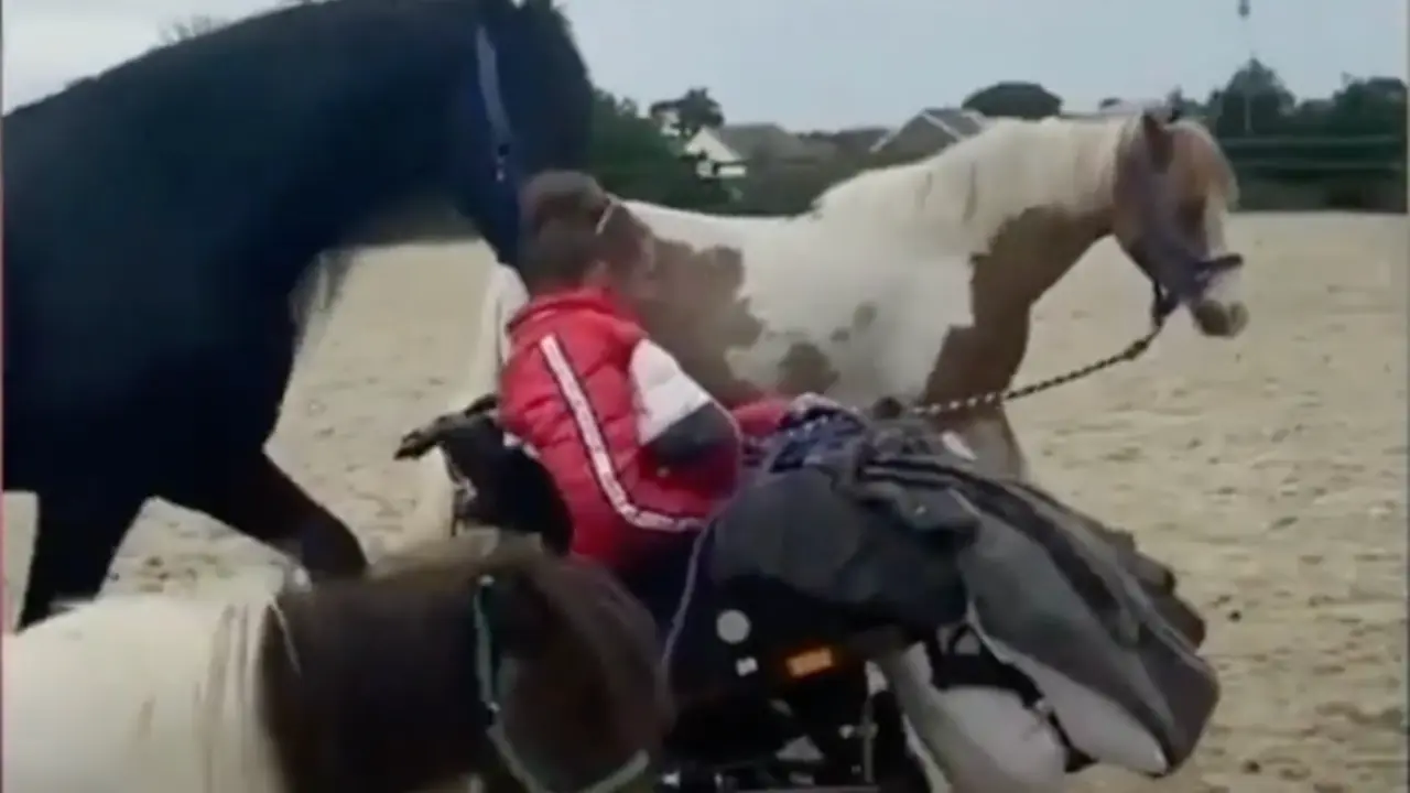 <p> Faye O'Hara via TikTok </p>