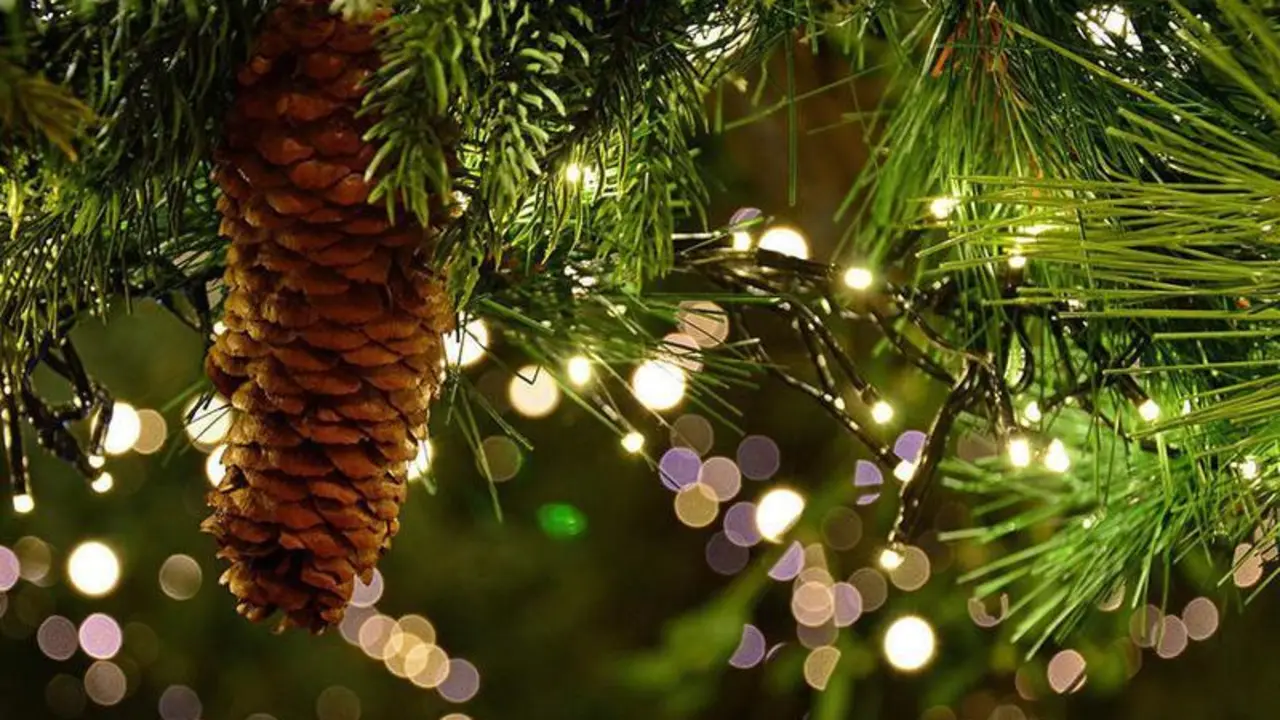 <p> Luces de navidad </p>