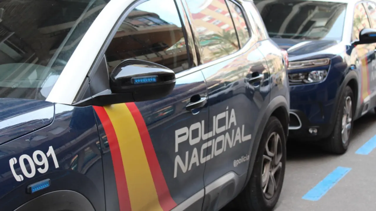 <p> Archivo - Imagen de recurso de coche policial - POLIC&Iacute;A NACIONAL - Archivo </p>