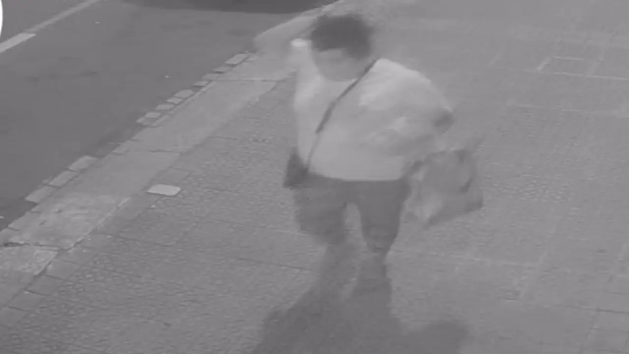 <p> Imagen de la supuesta secuestradora de un beb&eacute; - ERTZAINTZA </p>