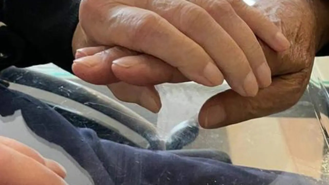 <p> Foto dia dca manos familiar y paciente </p>